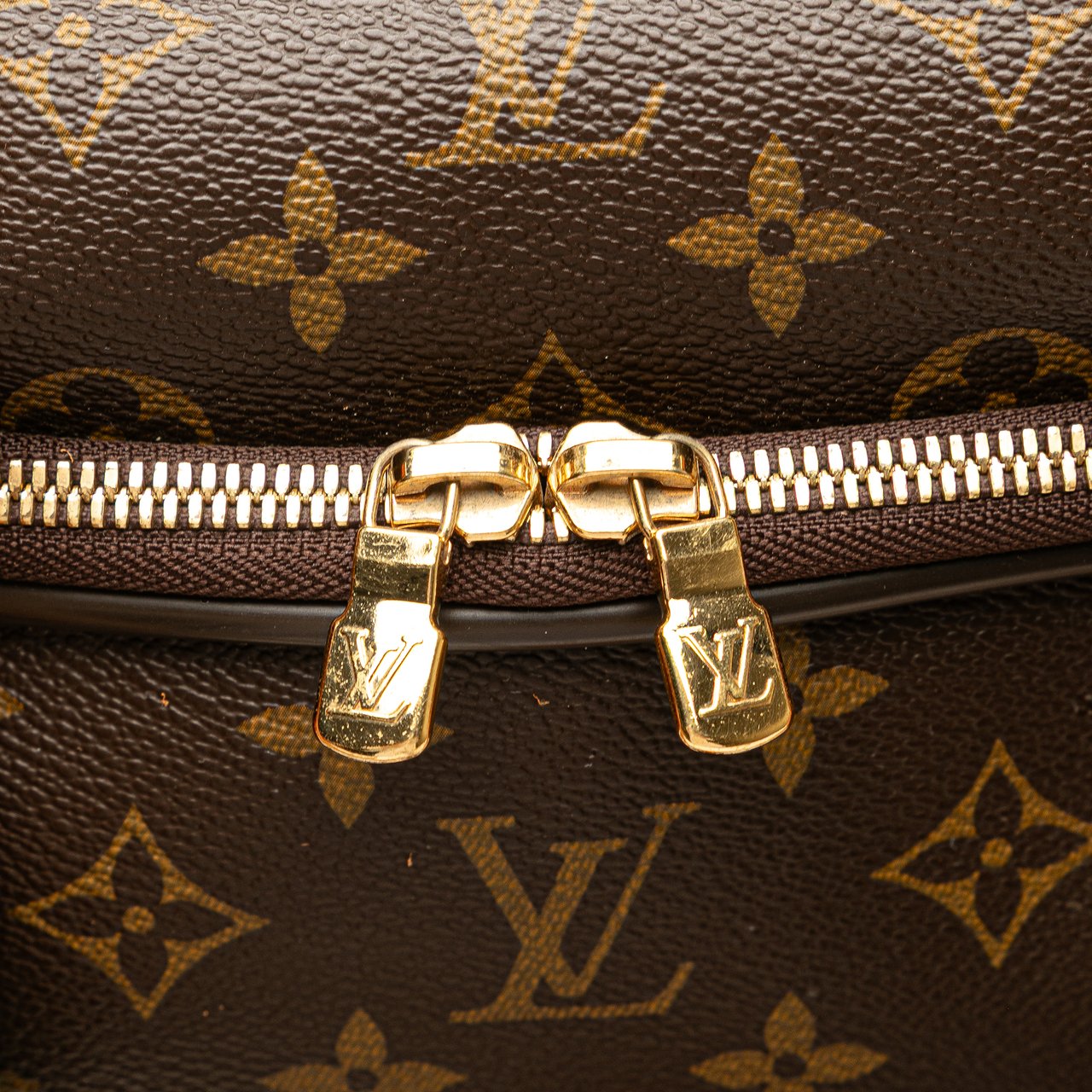 Louis Vuitton Monogram Icare Bruin