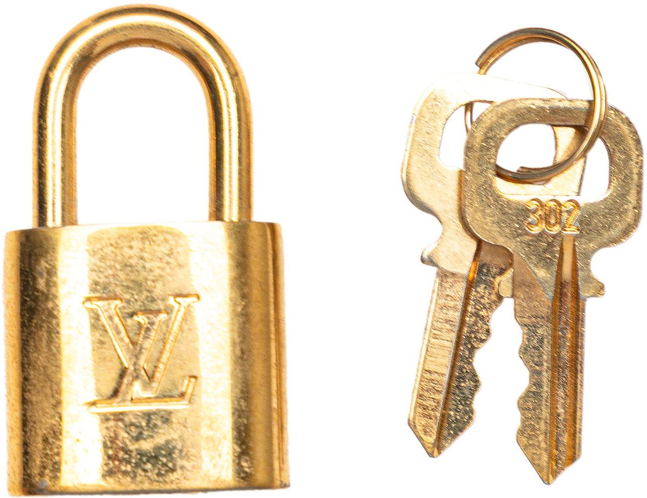 Louis Vuitton Monogram Icare Bruin