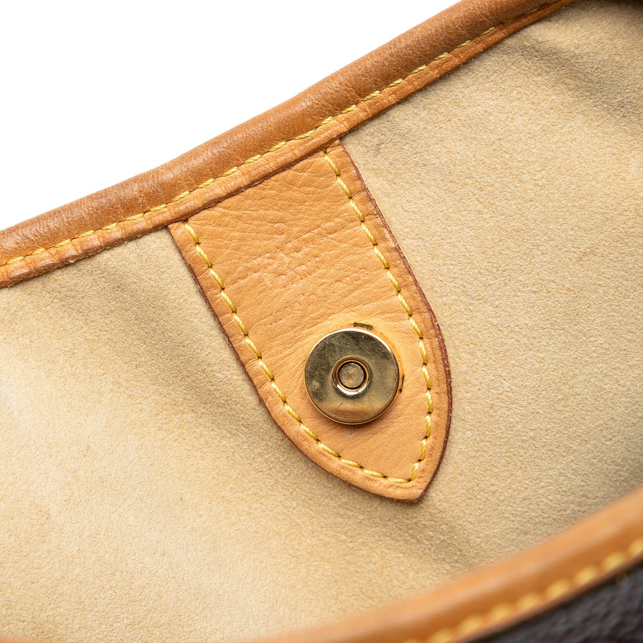 Louis Vuitton Monogram Galliera PM Bruin