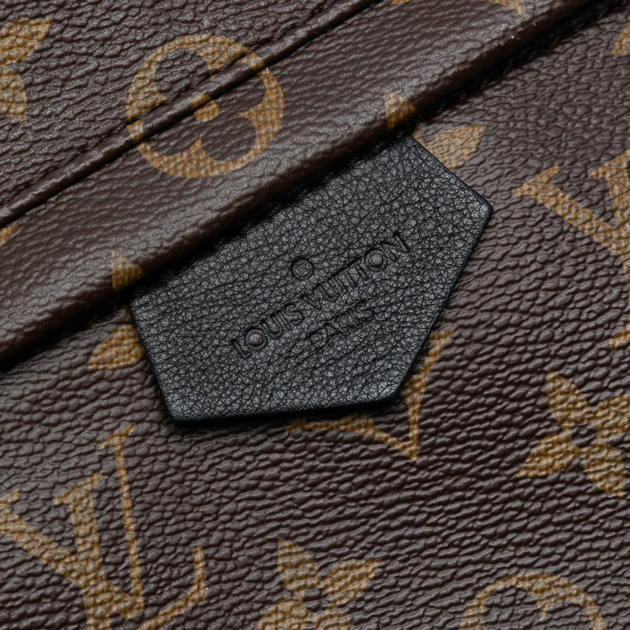 Louis Vuitton Monogram Palm Springs MM Bruin