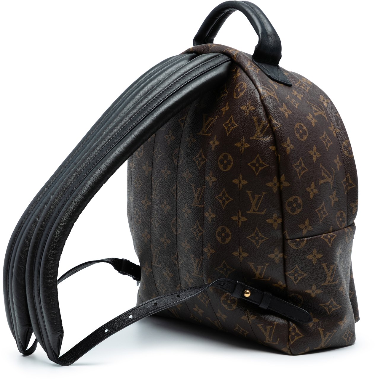 Louis Vuitton Monogram Palm Springs MM Bruin