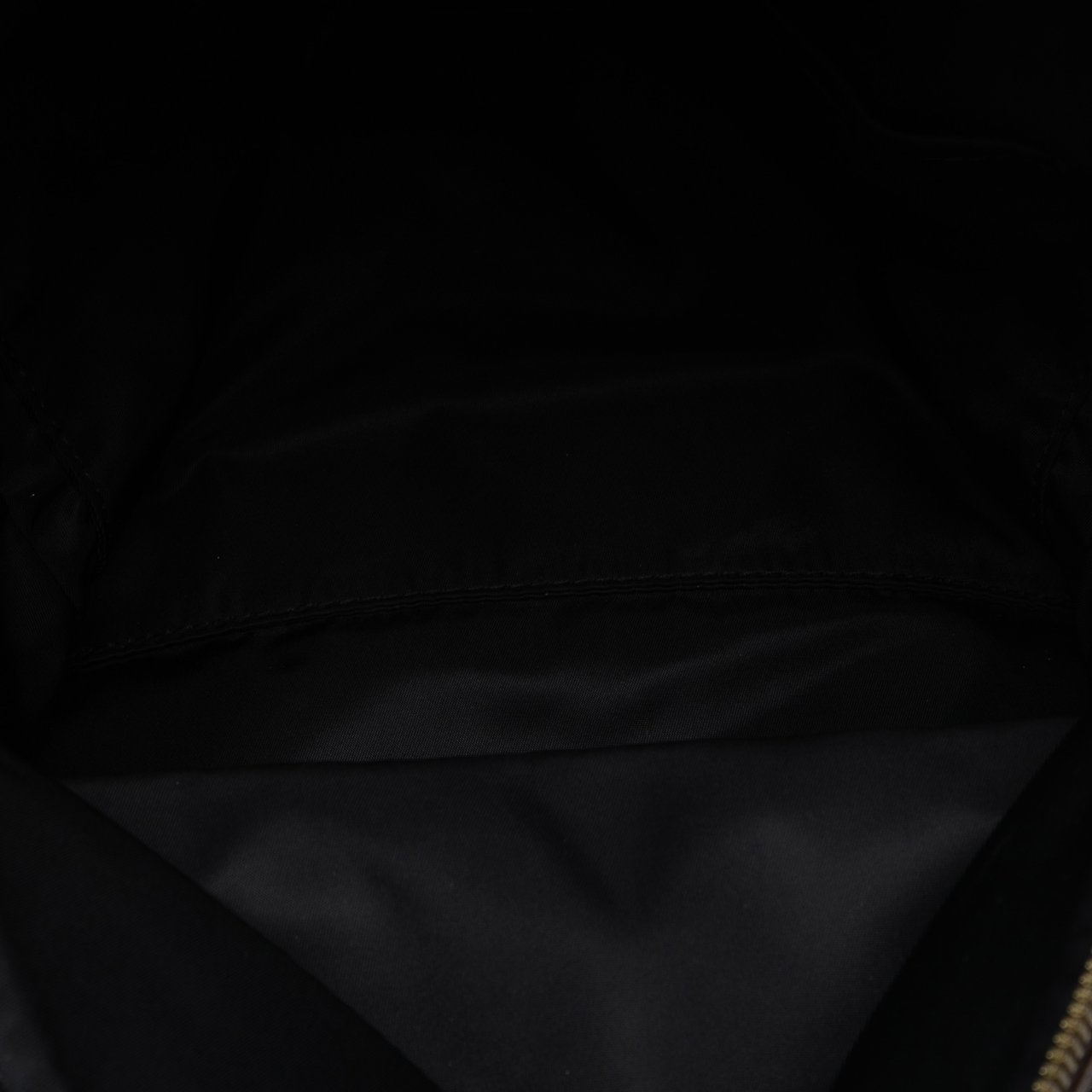 Louis Vuitton Monogram Palm Springs MM Bruin