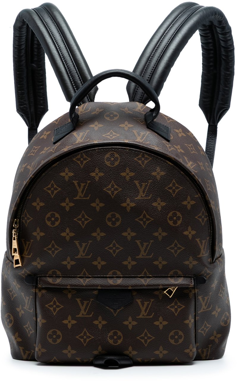 Louis Vuitton Monogram Palm Springs MM Bruin