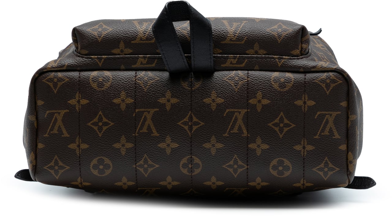 Louis Vuitton Monogram Palm Springs MM Bruin