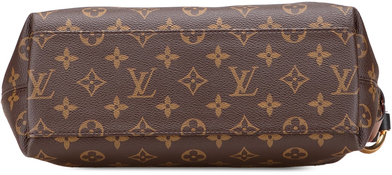 Louis Vuitton Monogram Tuileries Besace Bruin
