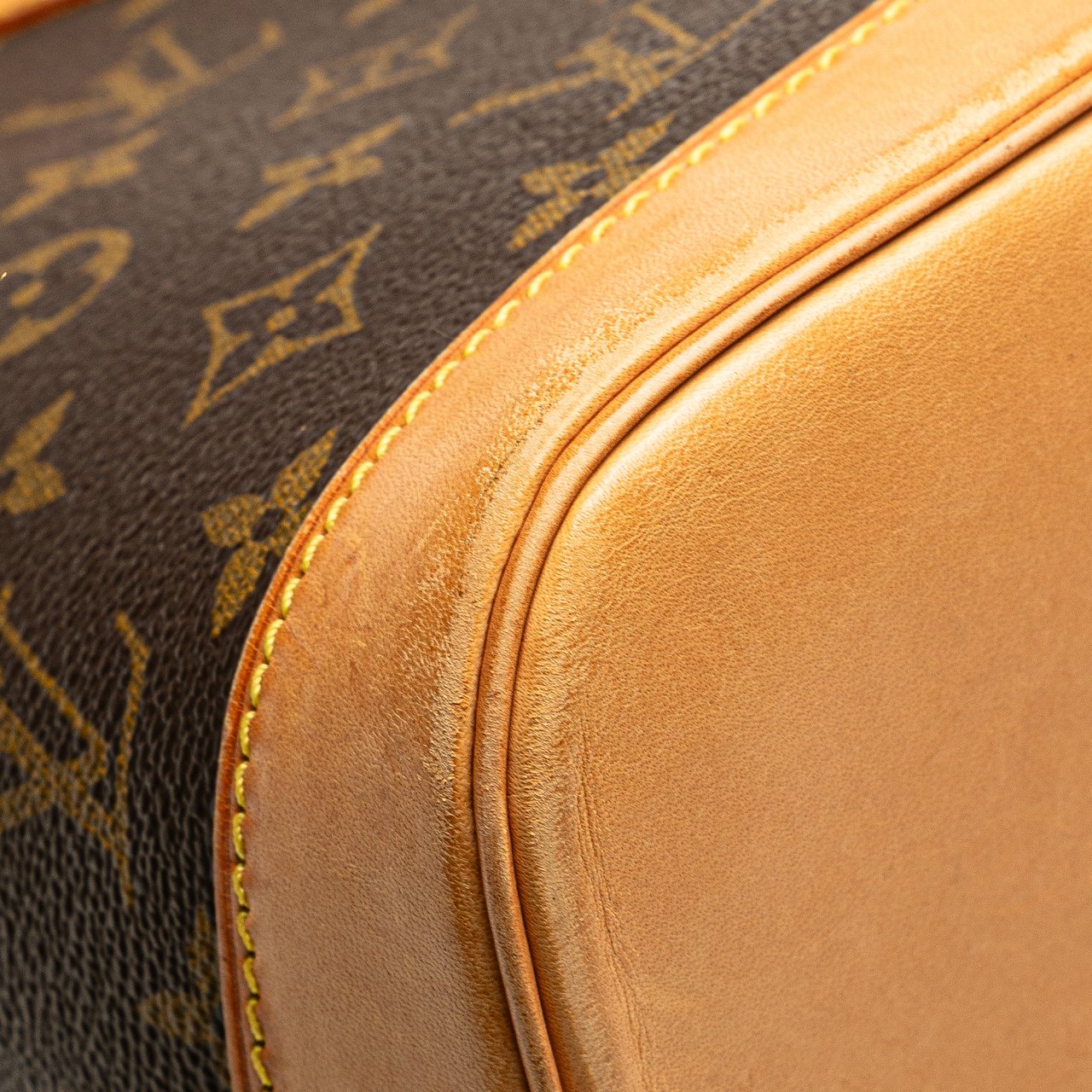 Louis Vuitton Monogram Alma PM Bruin