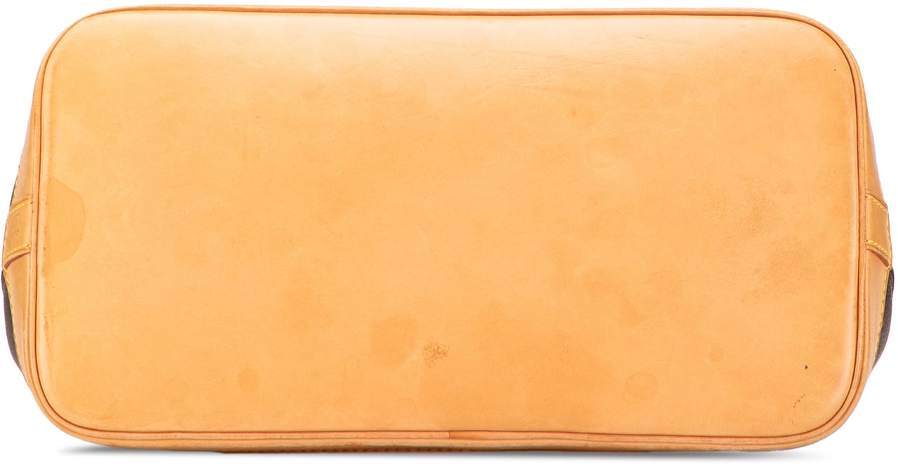 Louis Vuitton Monogram Alma PM Bruin