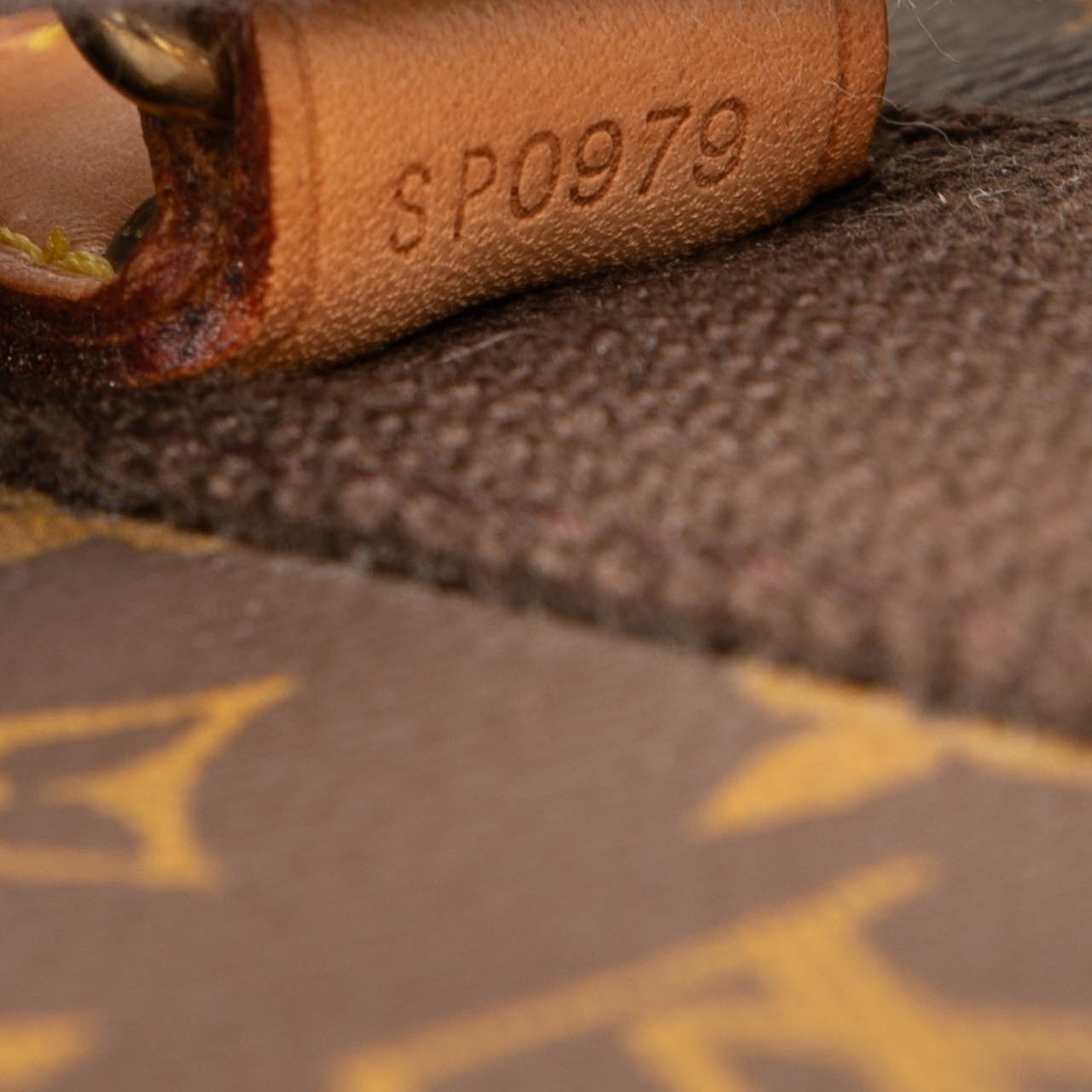 Louis Vuitton Monogram Pegase 55 Bruin