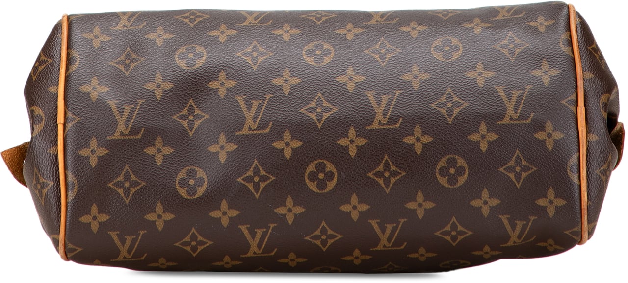 Louis Vuitton Monogram Montorgueil PM Bruin