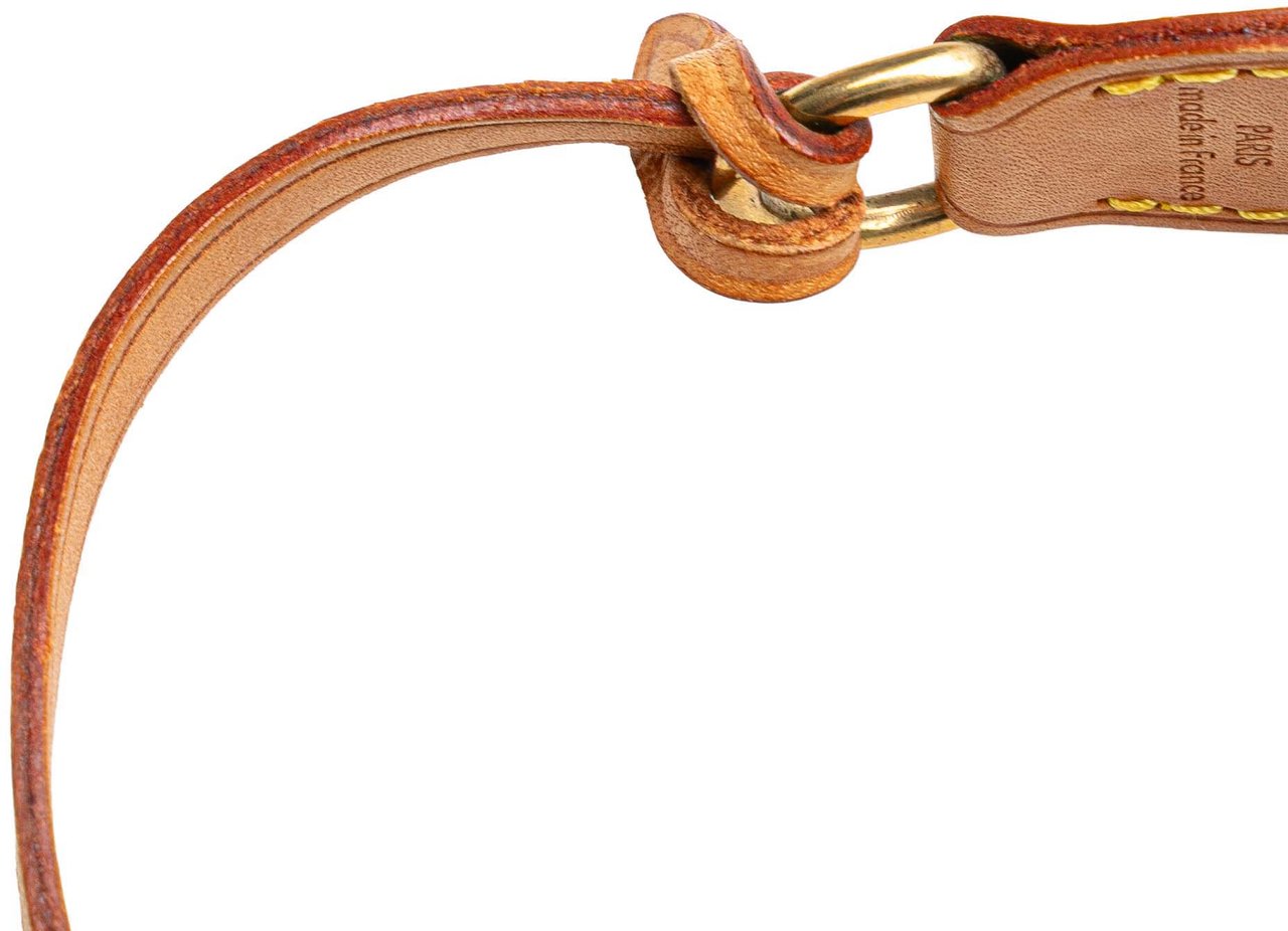 Louis Vuitton Monogram Pochette Accessoires Bruin