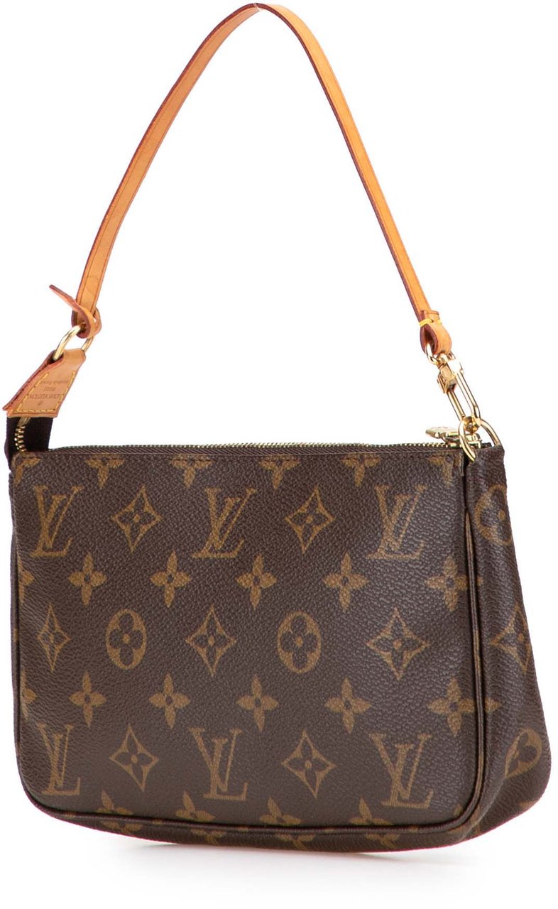 Louis Vuitton Monogram Pochette Accessoires Bruin
