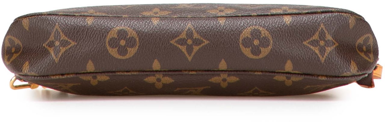 Louis Vuitton Monogram Pochette Accessoires Bruin