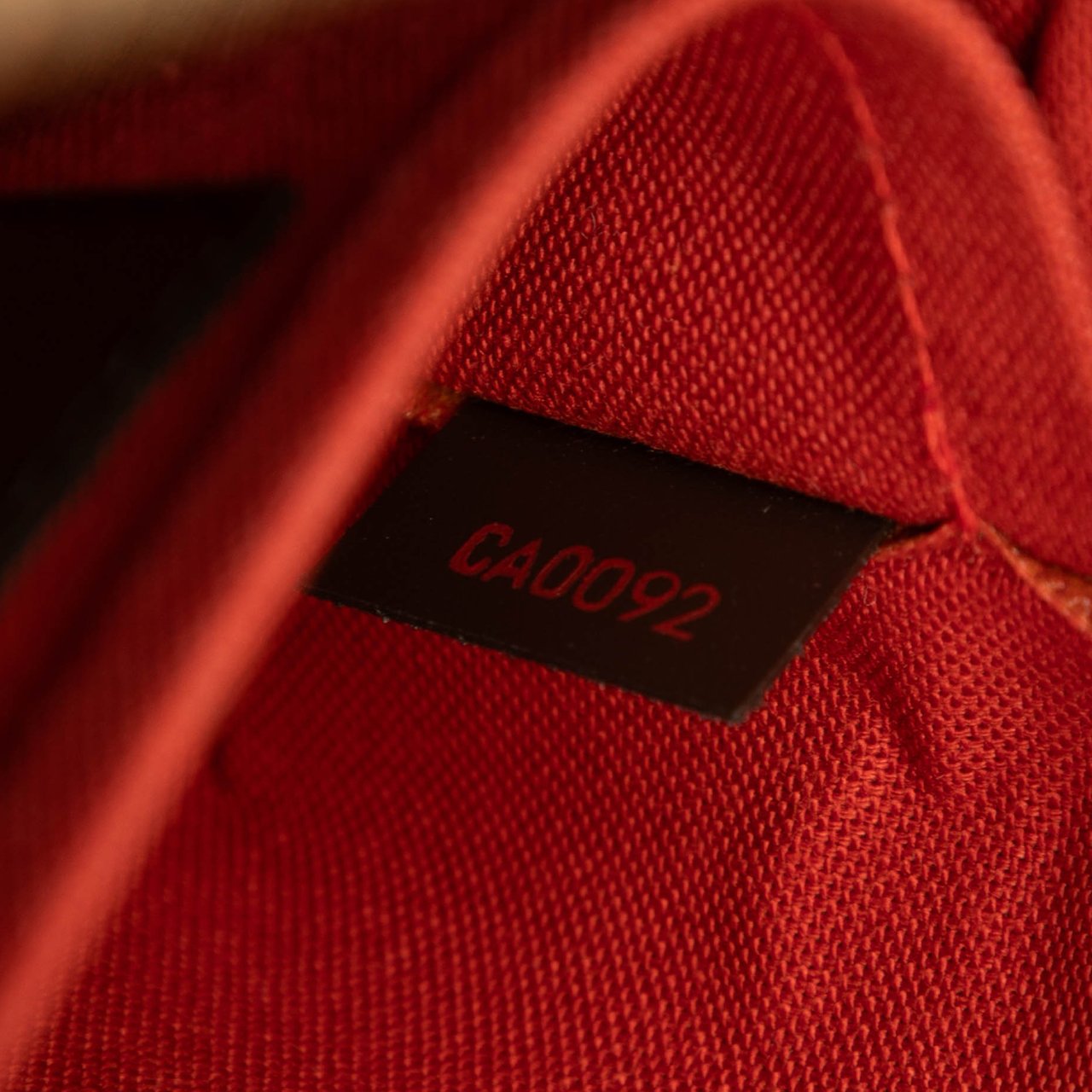 Louis Vuitton Damier Ebene Ribera MM Bruin