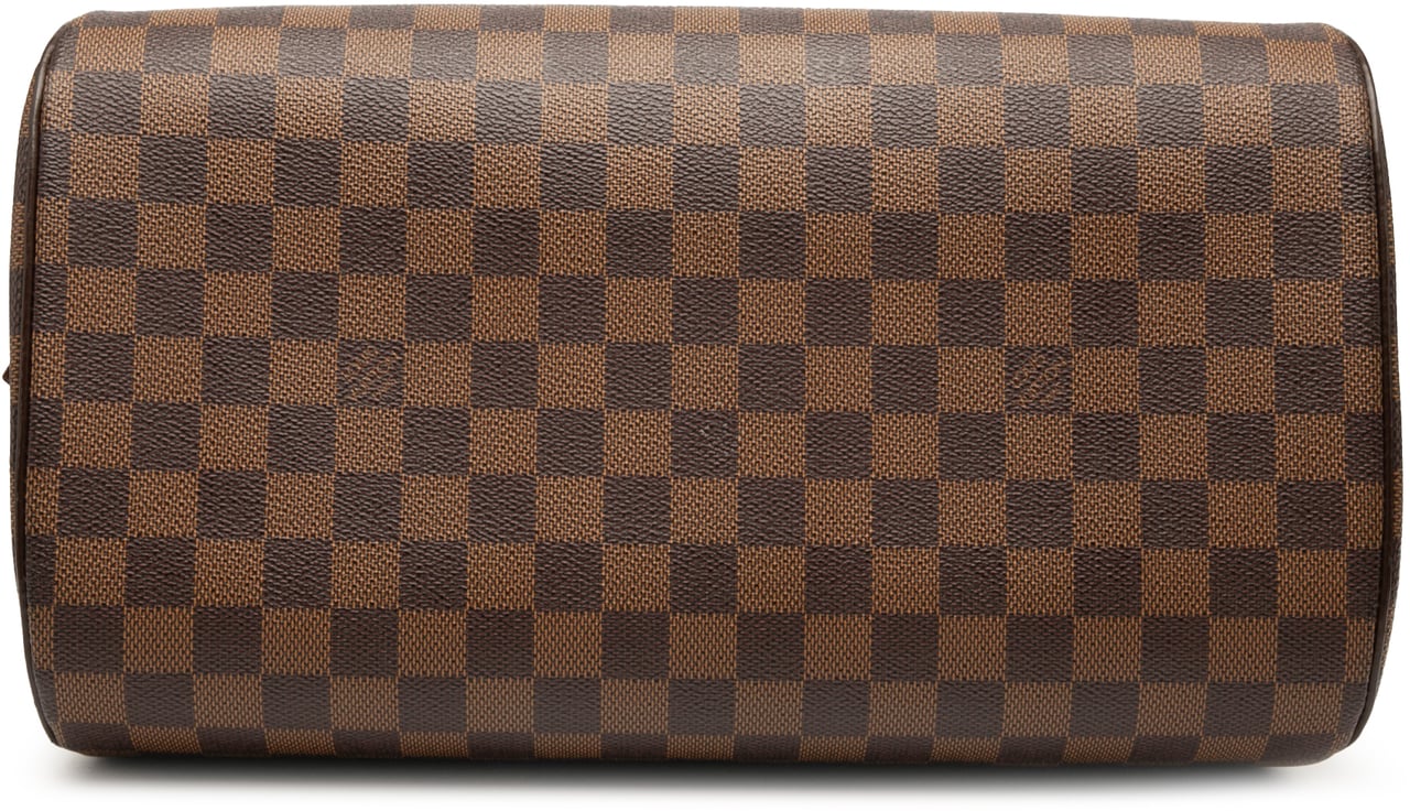 Louis Vuitton Damier Ebene Ribera MM Bruin