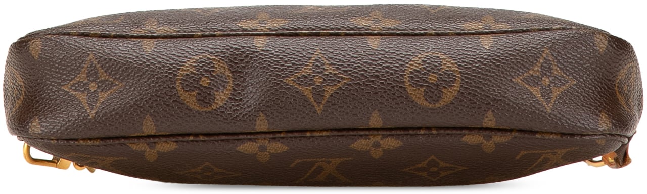 Louis Vuitton Monogram Pochette Accessoires Bruin