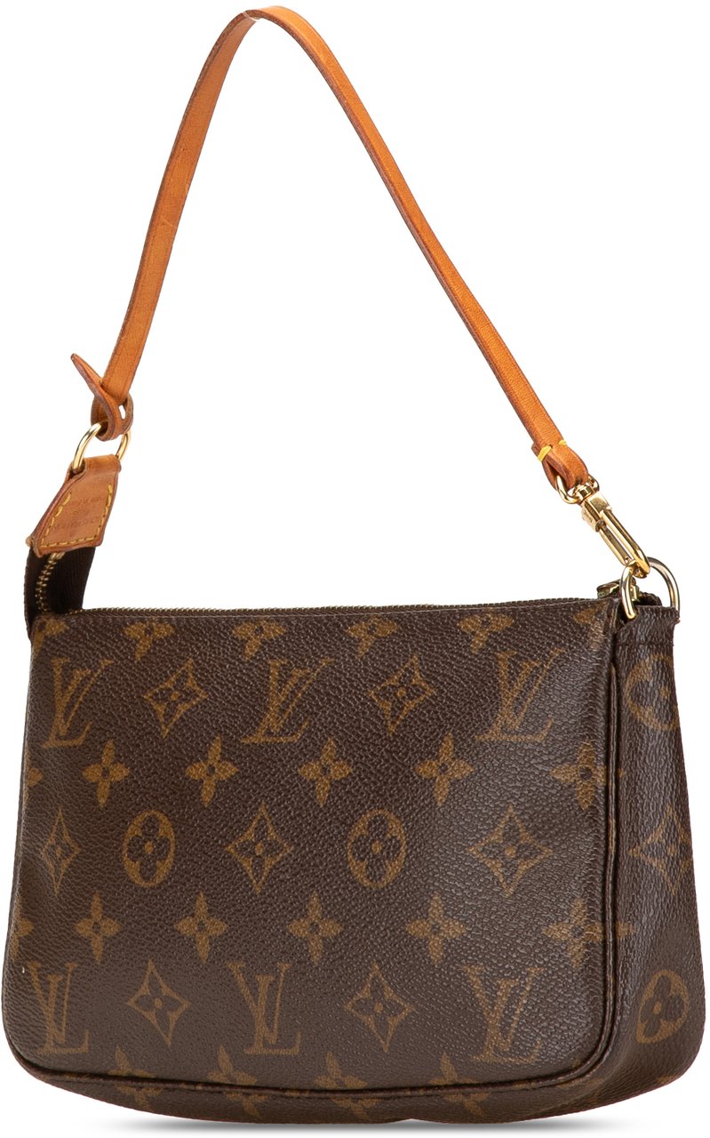 Louis Vuitton Monogram Pochette Accessoires Bruin