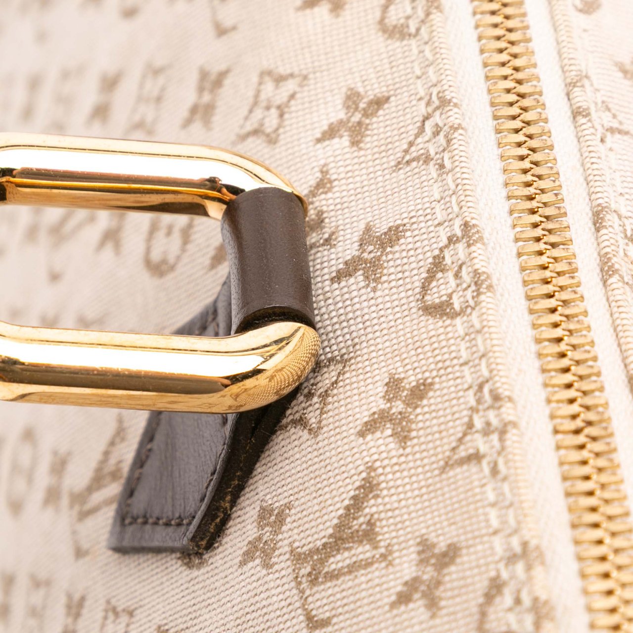 Louis Vuitton Monogram Mini Lin Alma Horizontal Bruin