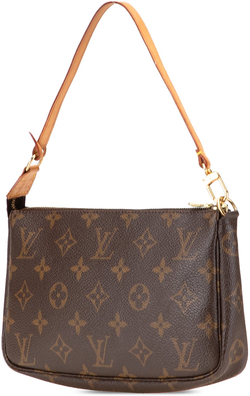 Louis Vuitton Monogram Pochette Accessoires Bruin