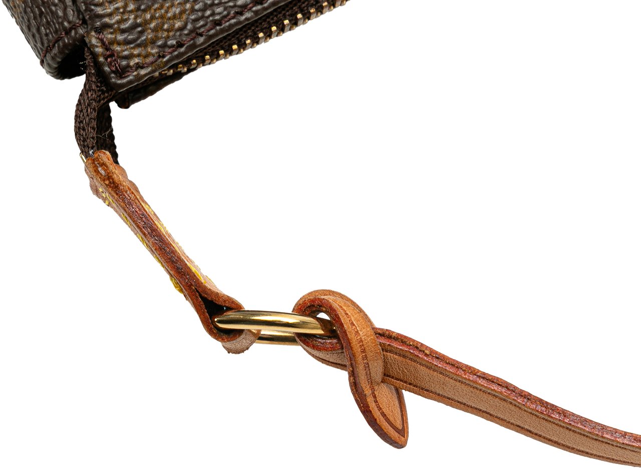 Louis Vuitton Monogram Pochette Accessoires Bruin