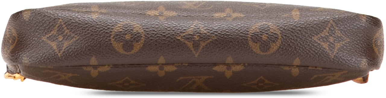 Louis Vuitton Monogram Pochette Accessoires Bruin