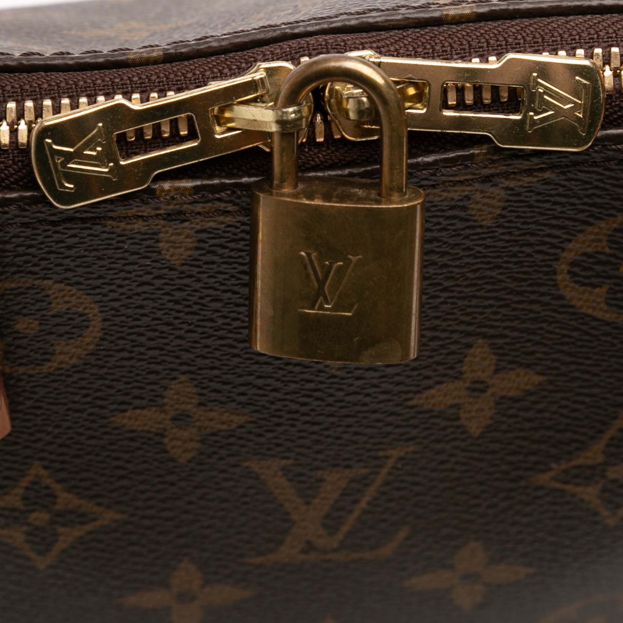 Louis Vuitton Monogram Alma GM Bruin