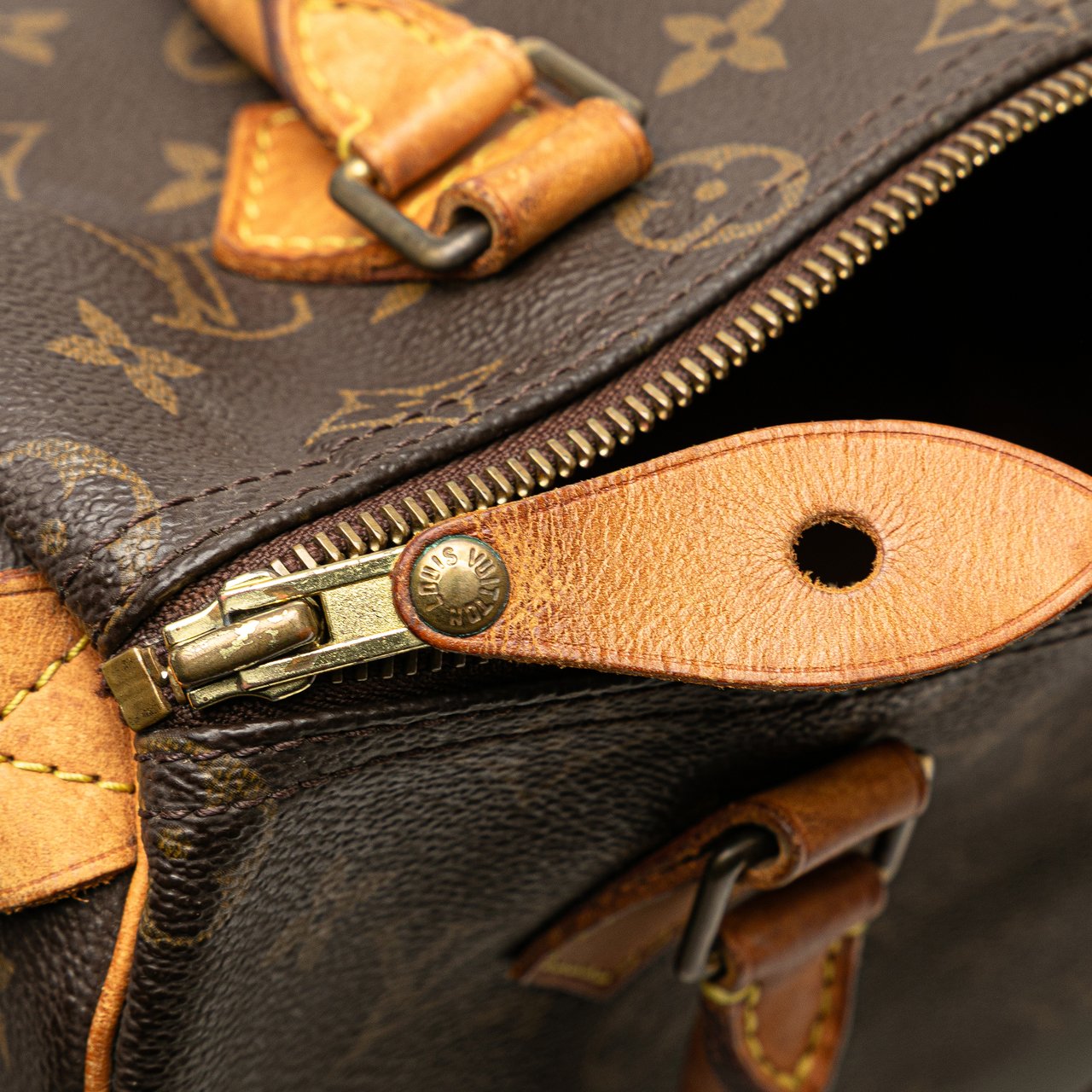Louis Vuitton Monogram Speedy 25 Bruin