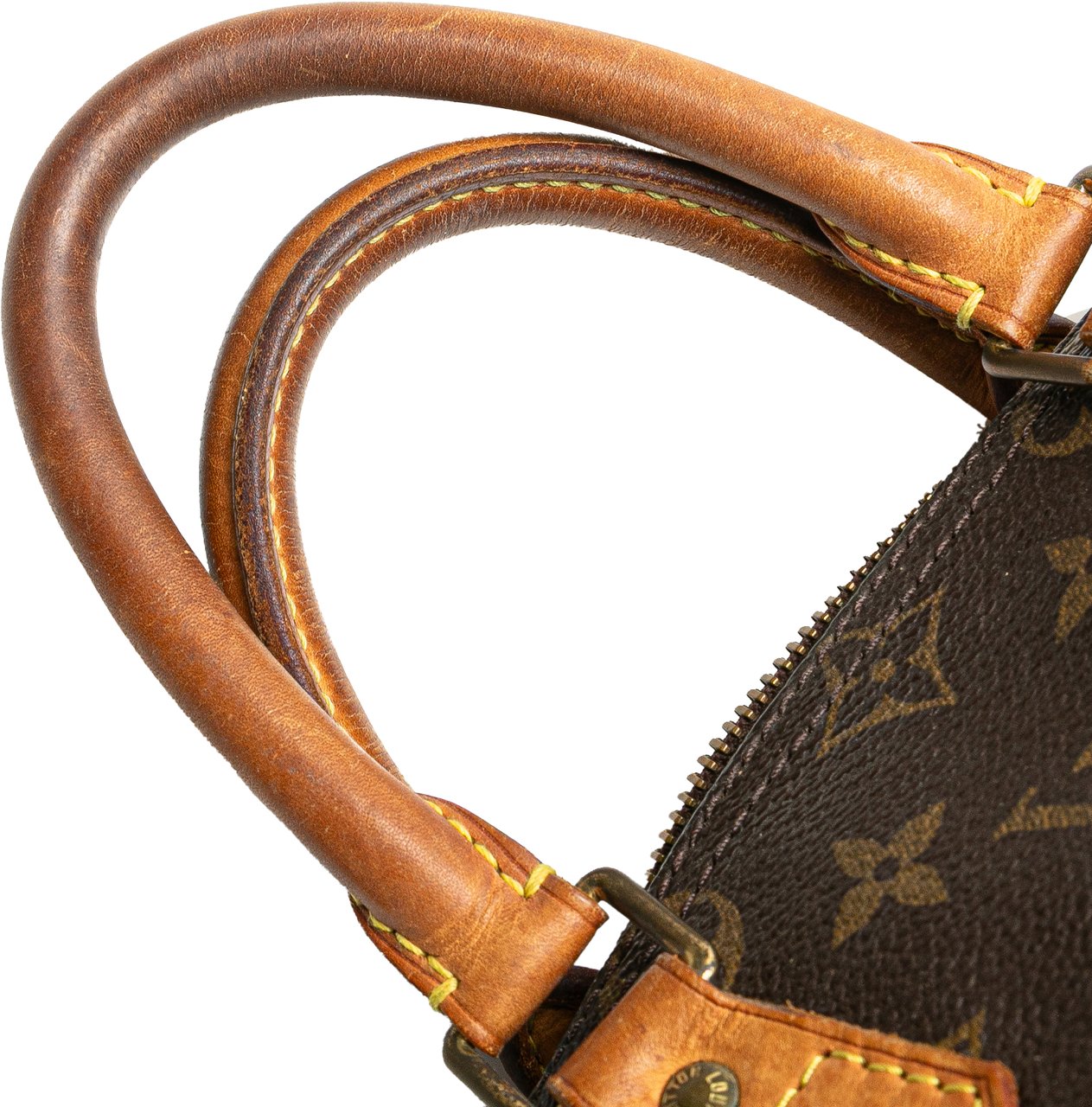 Louis Vuitton Monogram Speedy 25 Bruin