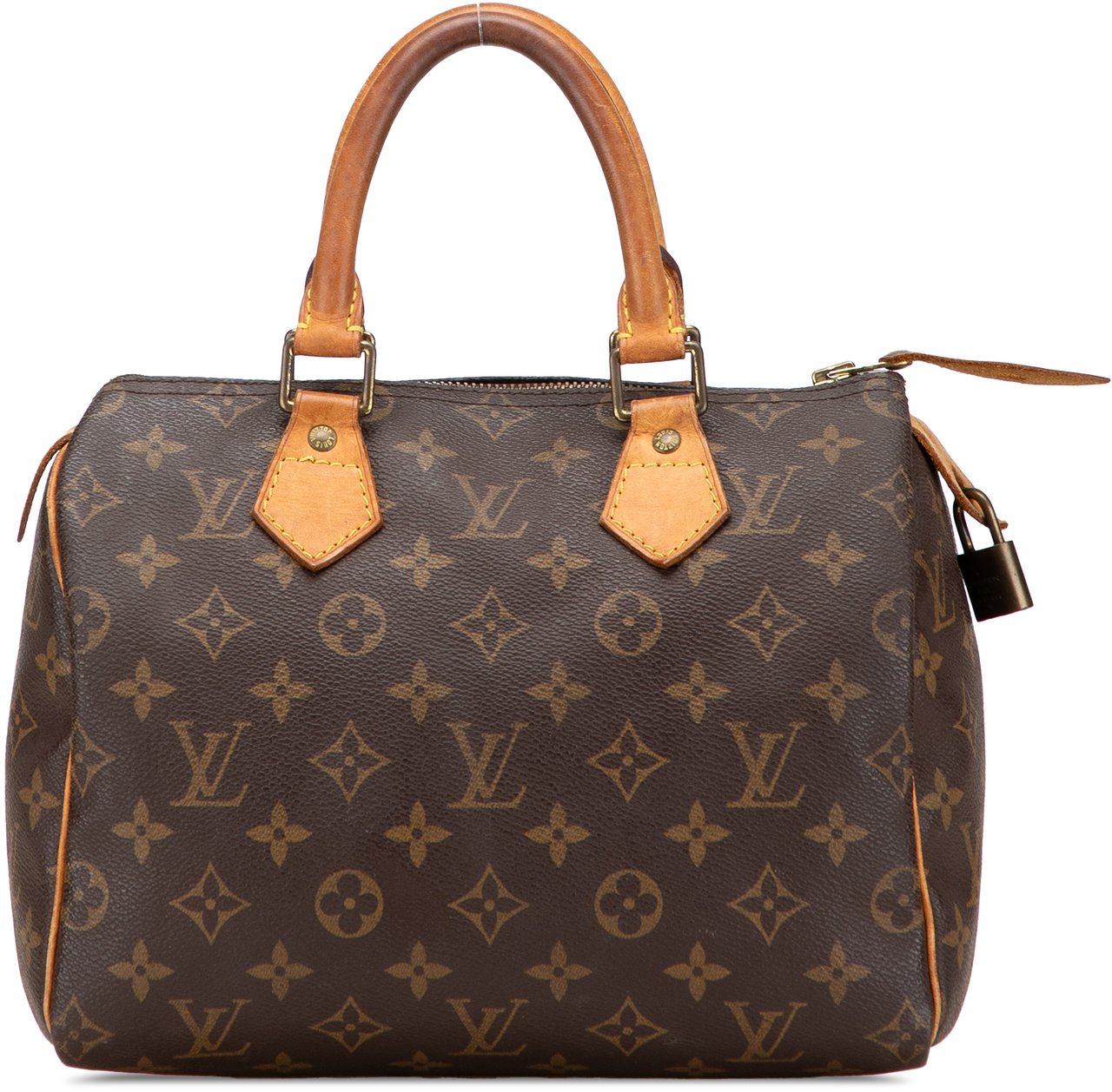 Louis Vuitton Monogram Speedy 25 Bruin