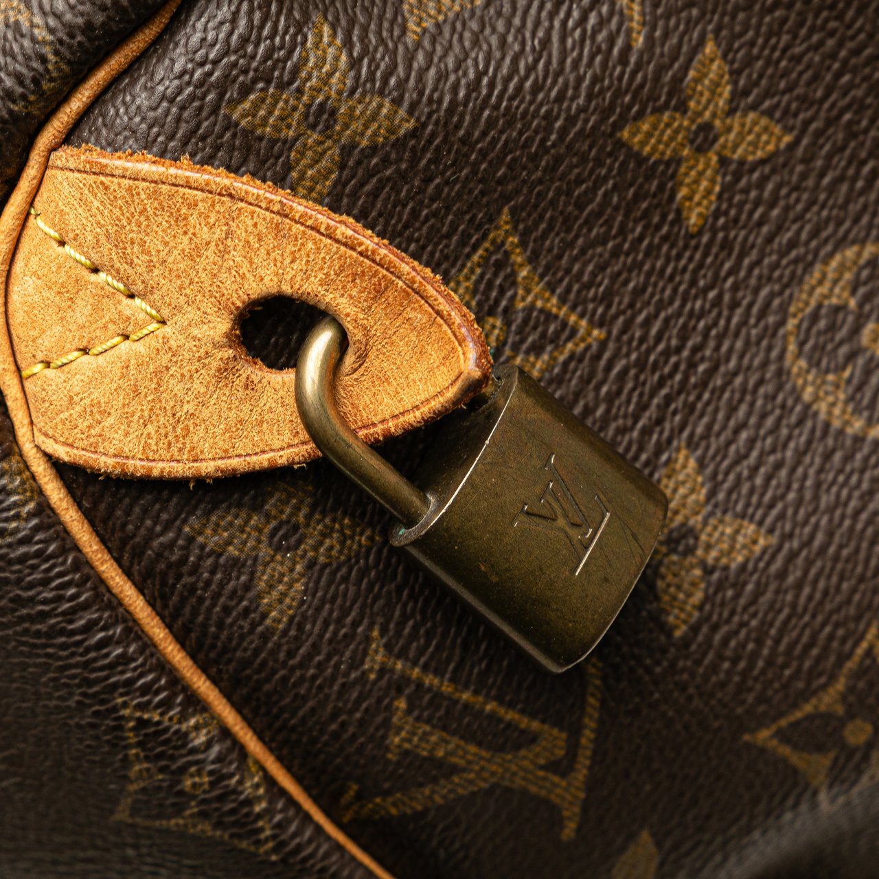 Louis Vuitton Monogram Speedy 25 Bruin