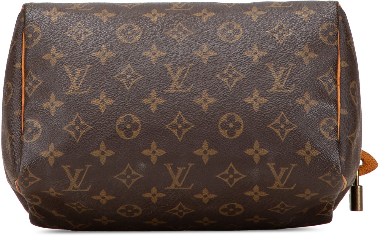 Louis Vuitton Monogram Speedy 25 Bruin