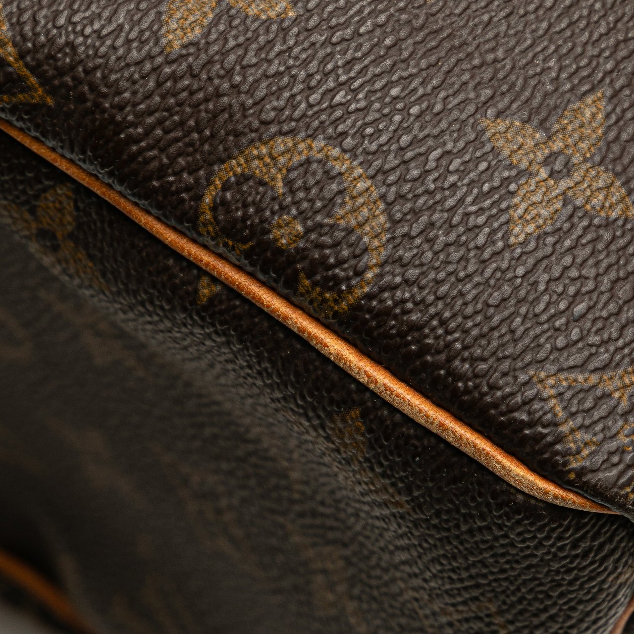 Louis Vuitton Monogram Speedy 25 Bruin