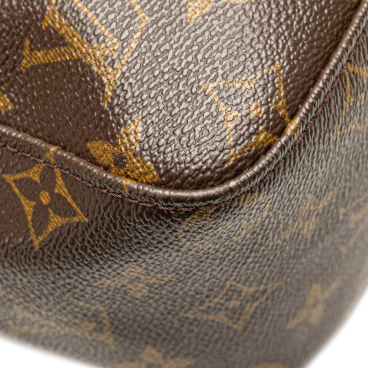 Louis Vuitton Monogram Looping GM Bruin