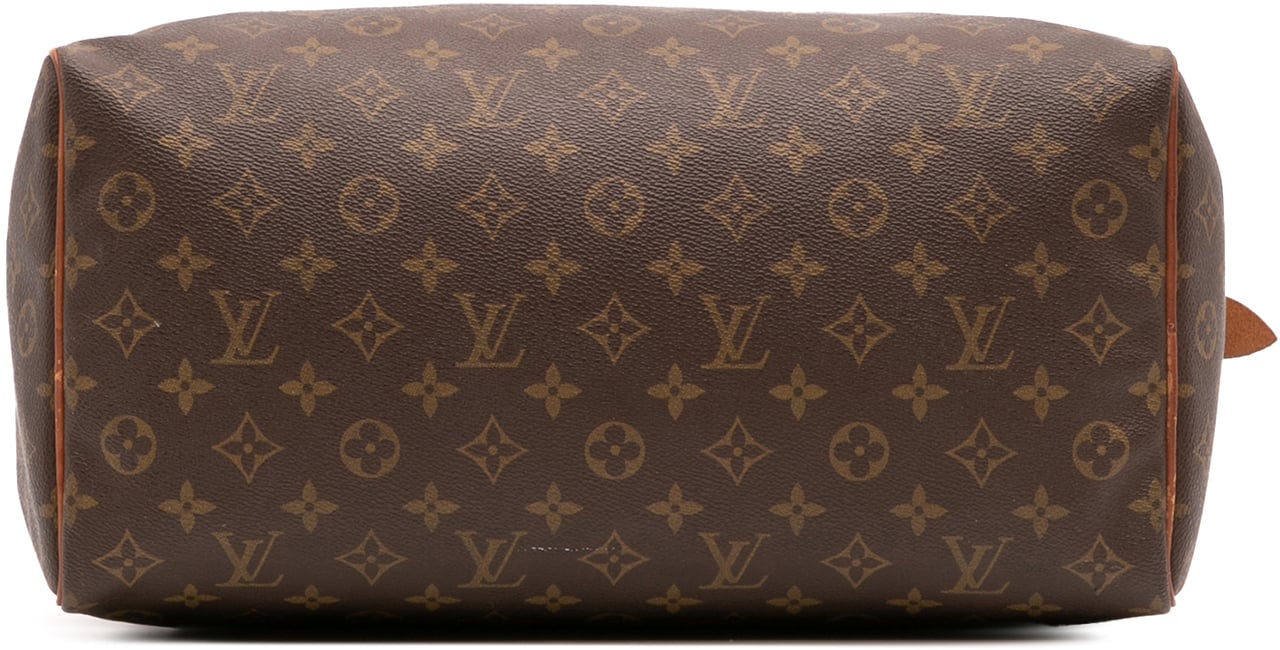 Louis Vuitton Monogram Speedy 35 Bruin