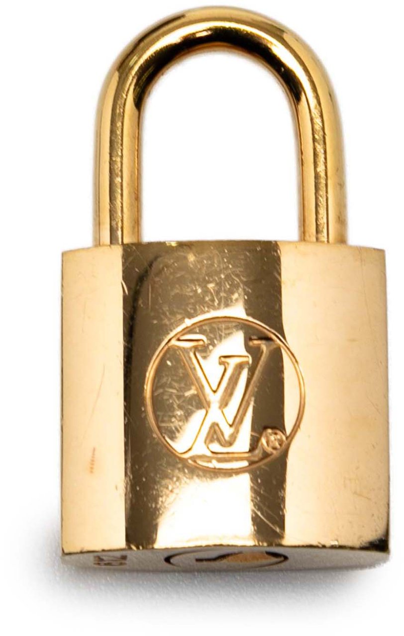 Louis Vuitton Monogram Reverse Vanity PM Bruin