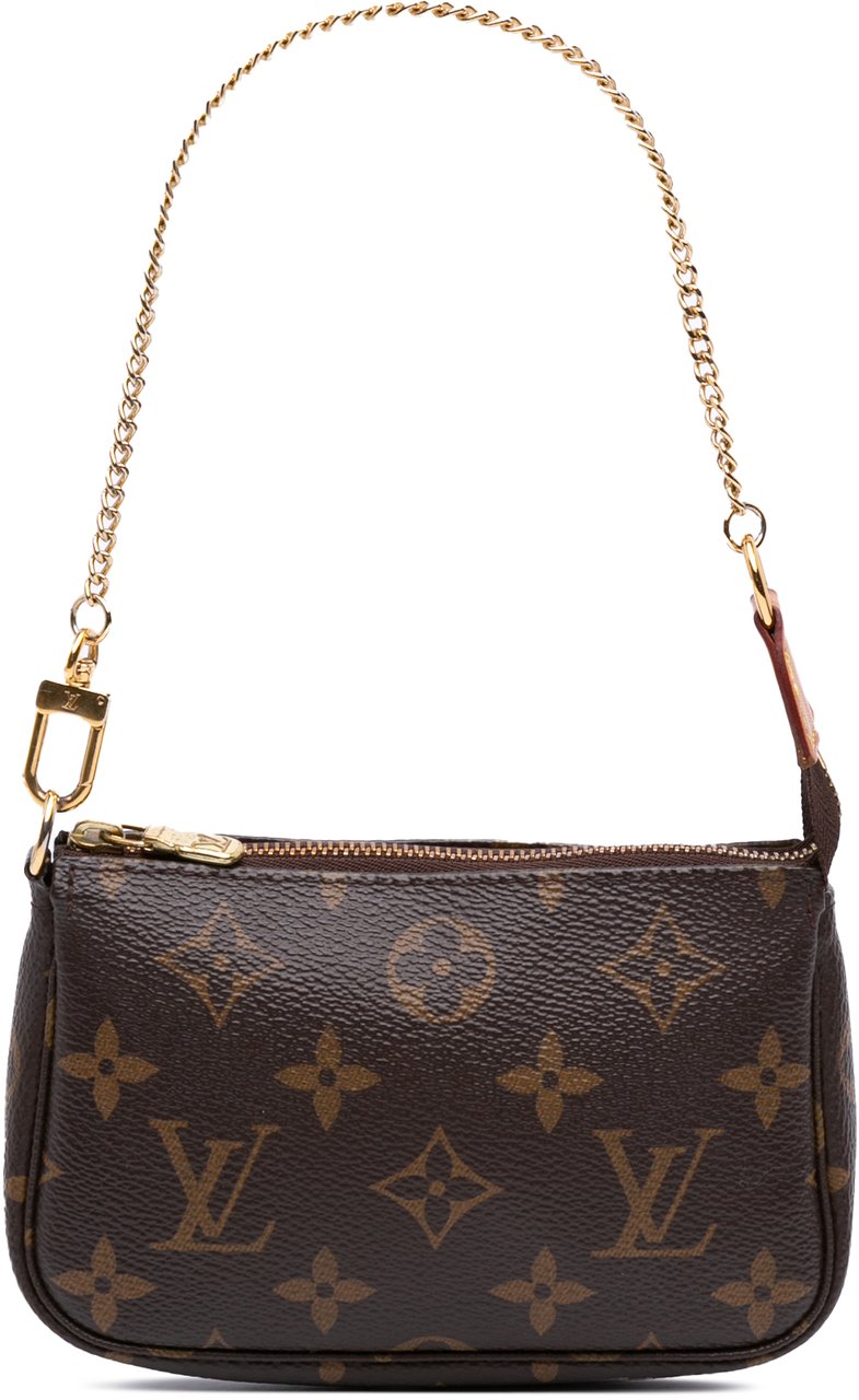 Louis Vuitton Monogram Mini Pochette Accessoires Bruin