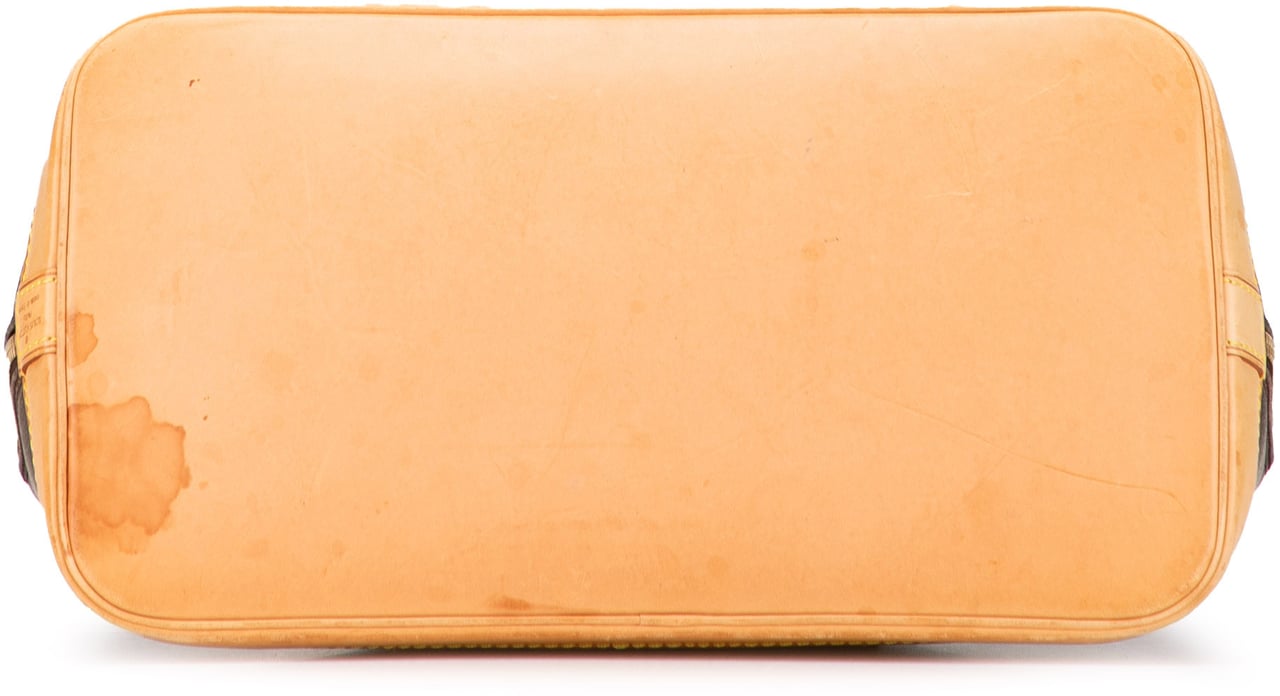 Louis Vuitton Monogram Alma PM Bruin