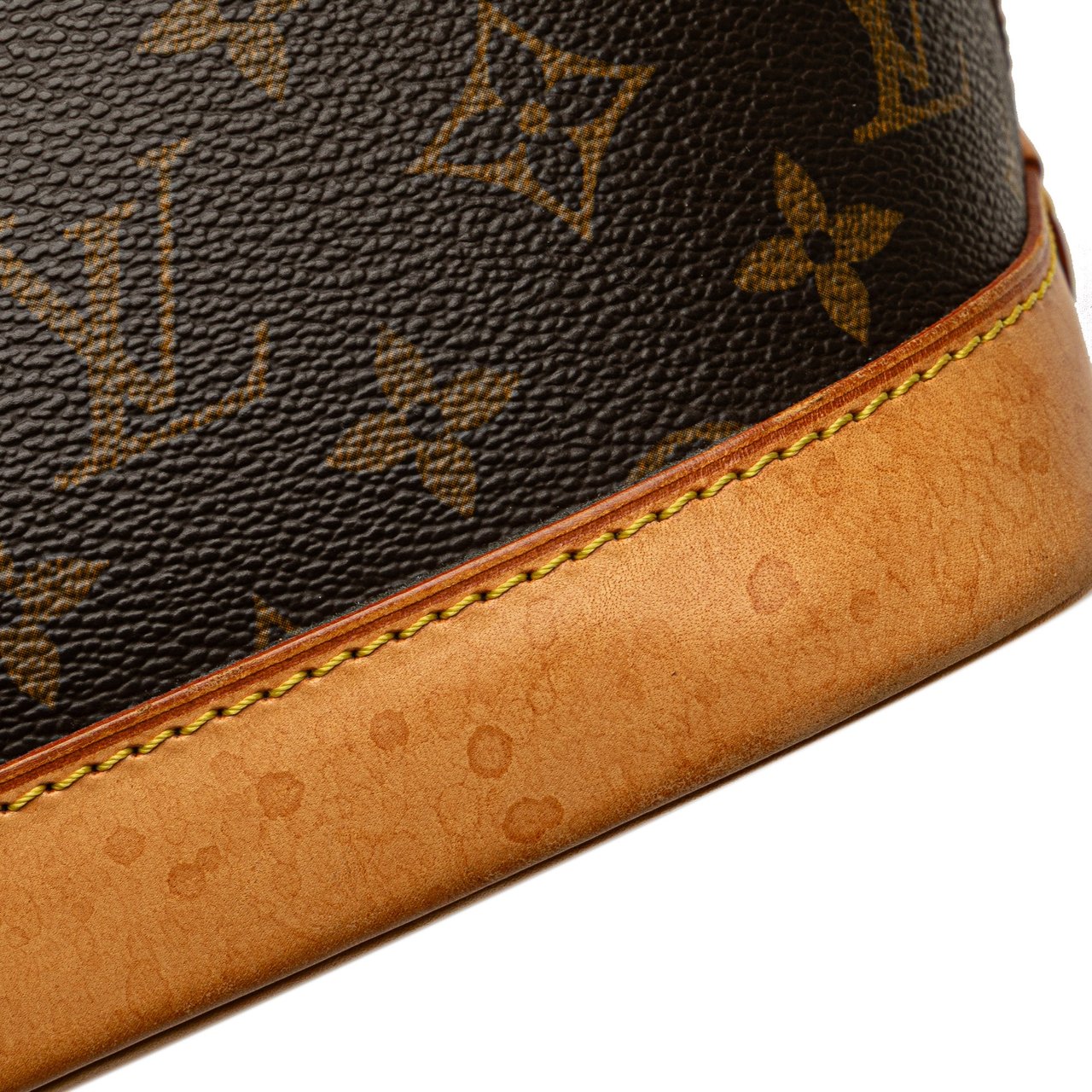 Louis Vuitton Monogram Alma PM Bruin