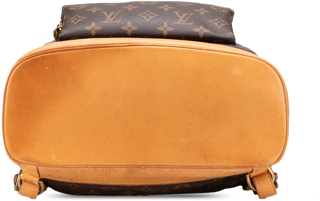 Louis Vuitton Monogram Montsouris GM Bruin