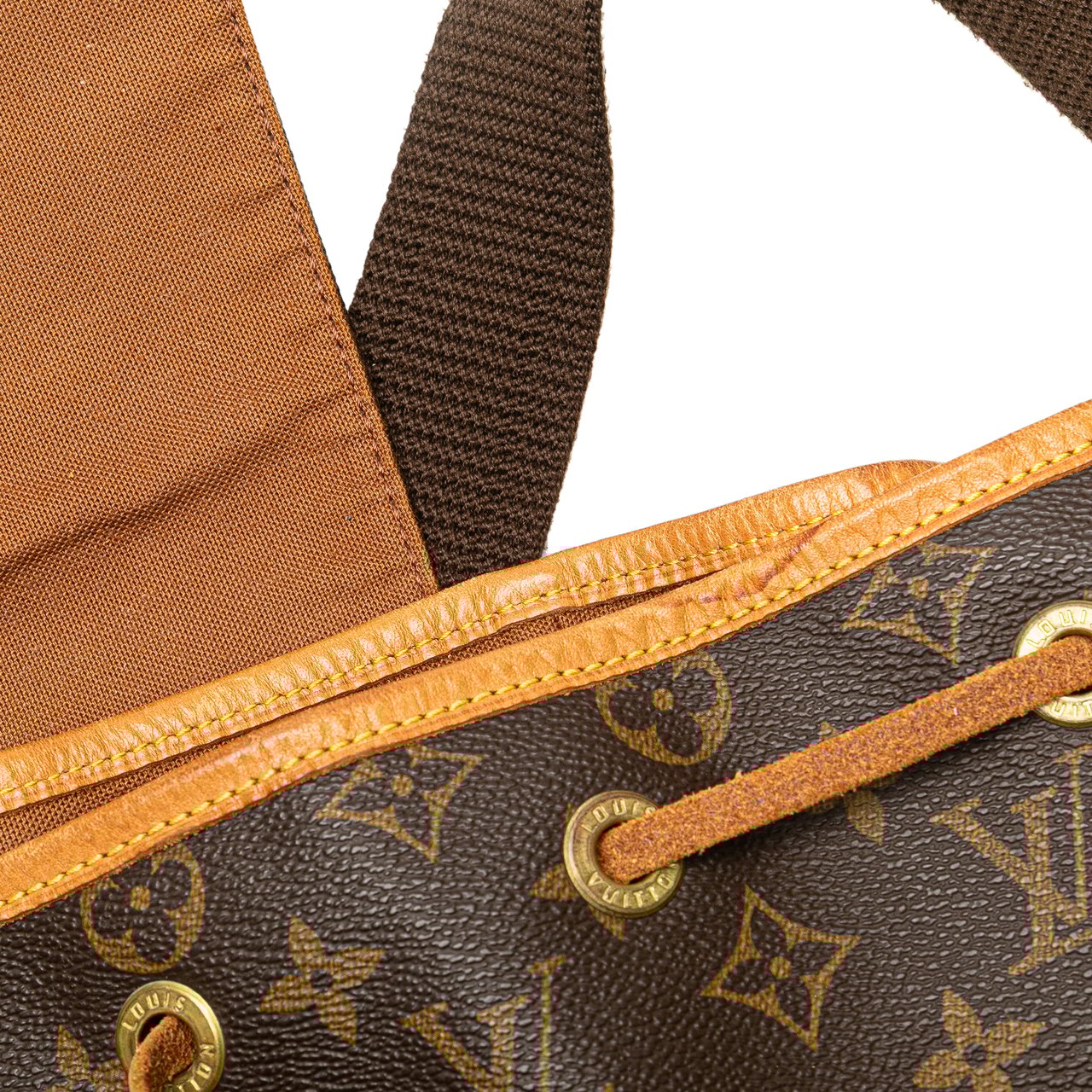 Louis Vuitton Monogram Montsouris GM Bruin
