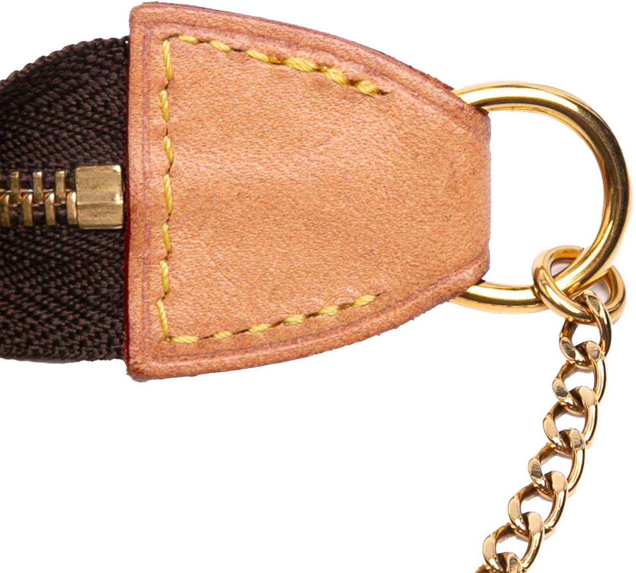 Louis Vuitton Monogram Mini Pochette Accessoires Bruin