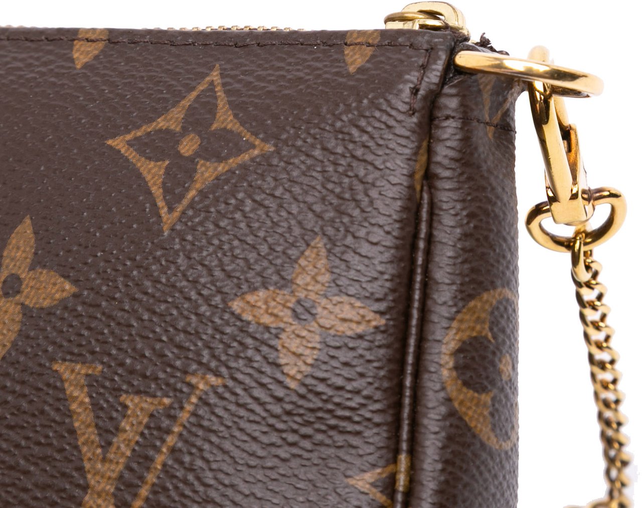 Louis Vuitton Monogram Mini Pochette Accessoires Bruin