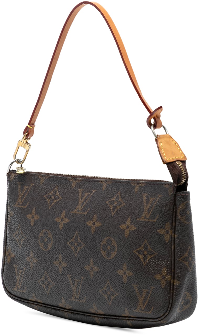 Louis Vuitton Monogram Pochette Accessoires Bruin