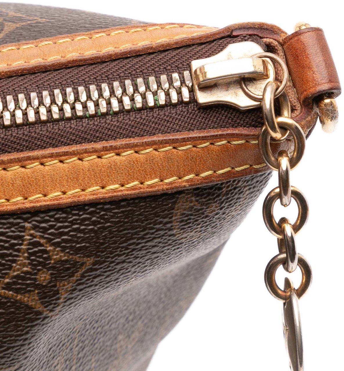 Louis Vuitton Monogram Palermo PM Bruin