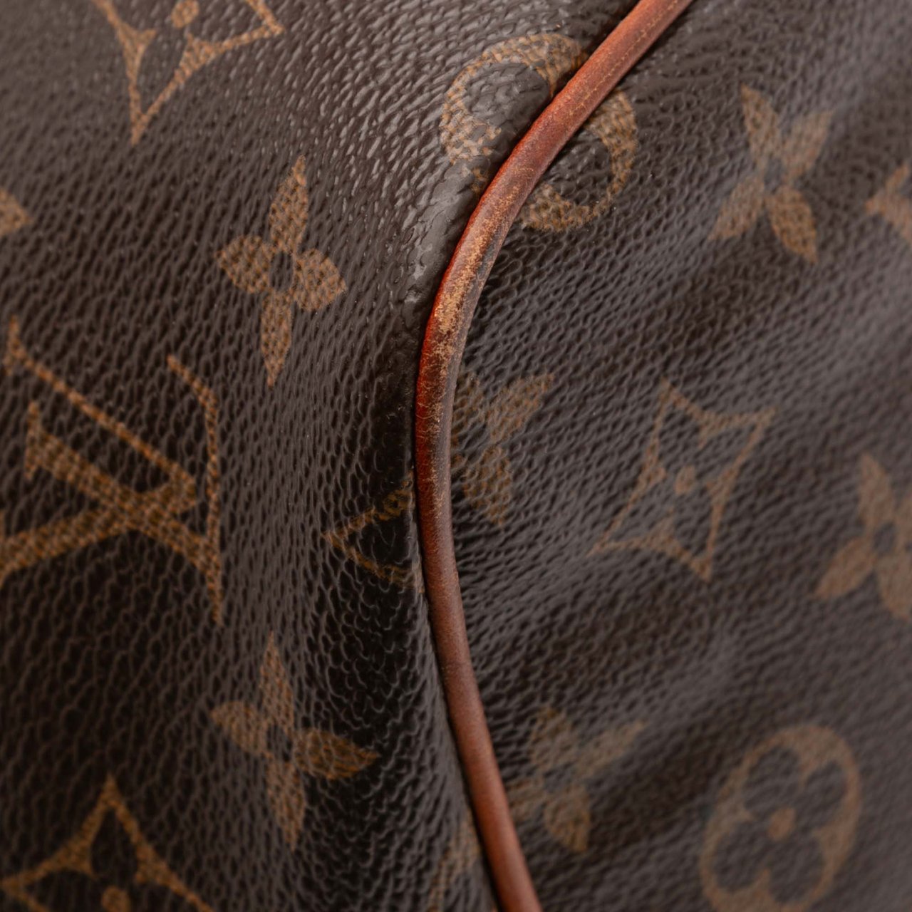 Louis Vuitton Monogram Palermo PM Bruin