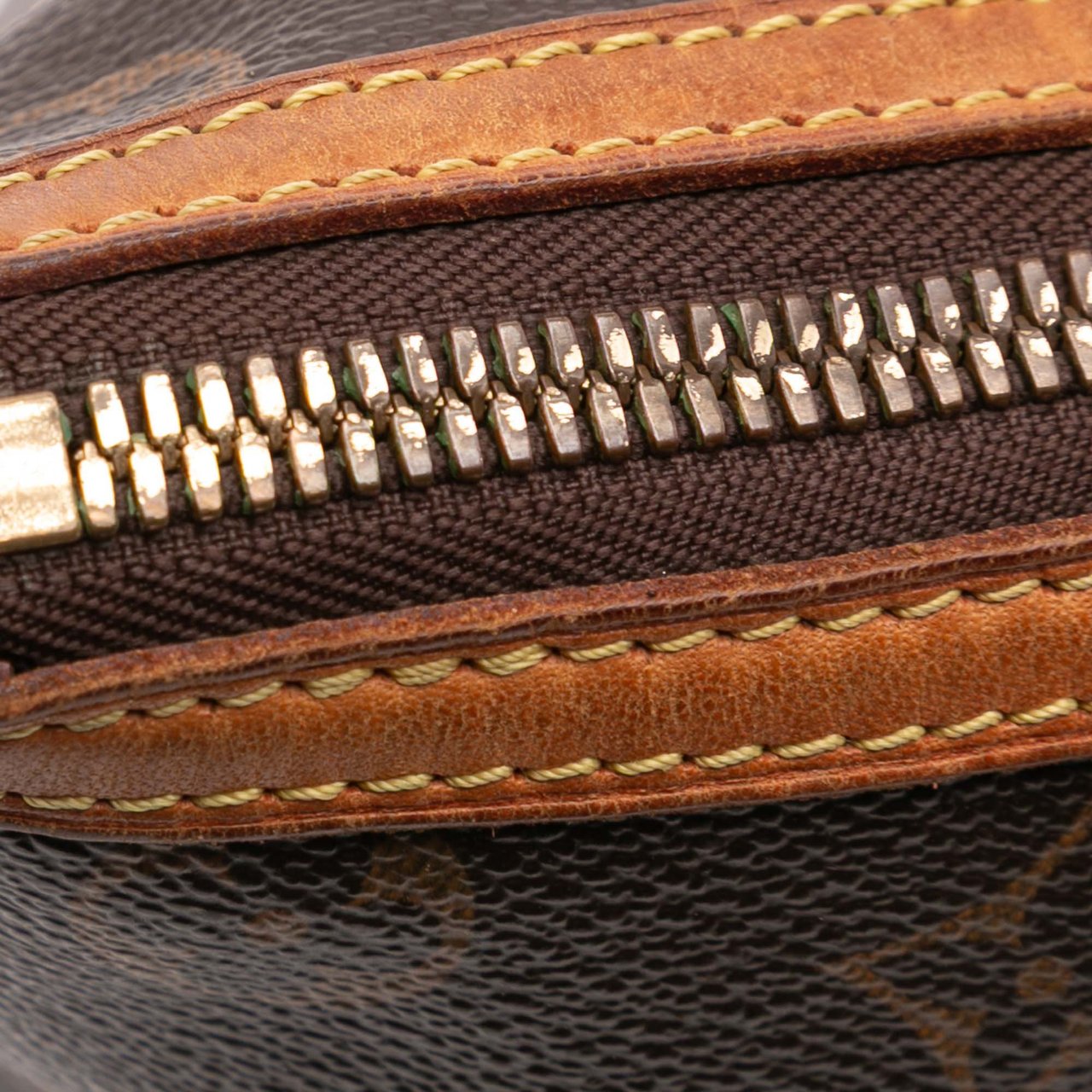 Louis Vuitton Monogram Palermo PM Bruin