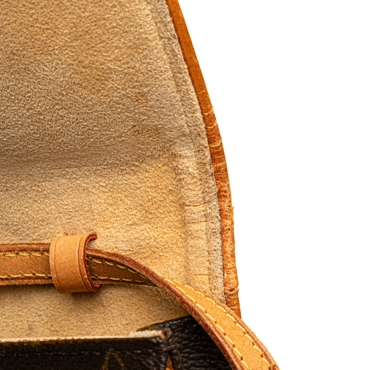 Louis Vuitton Monogram Pochette Twin PM Bruin