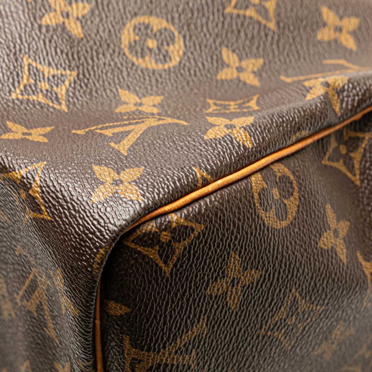 Louis Vuitton Monogram Speedy 30 Bruin
