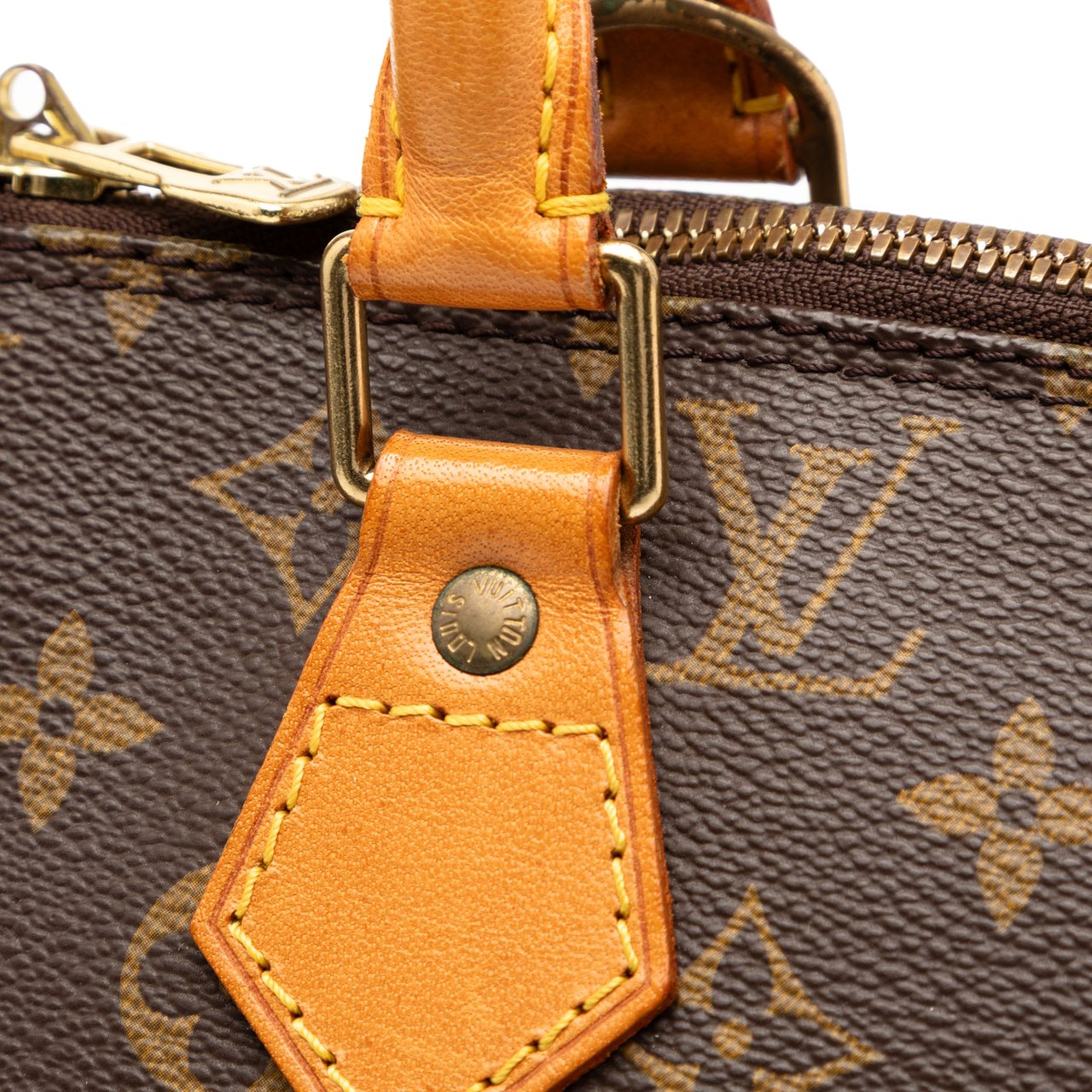 Louis Vuitton Monogram Alma PM Bruin