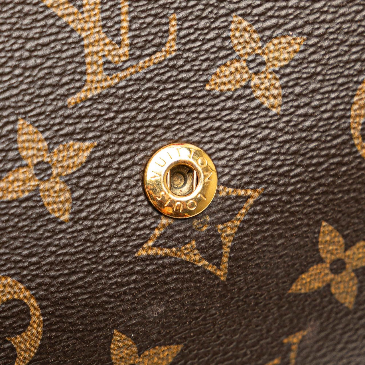 Louis Vuitton Monogram Twice Bruin