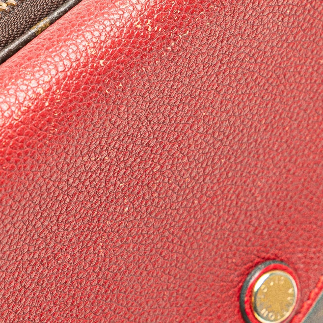 Louis Vuitton Monogram Twice Bruin